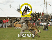 Tablet Screenshot of nikarad.ro